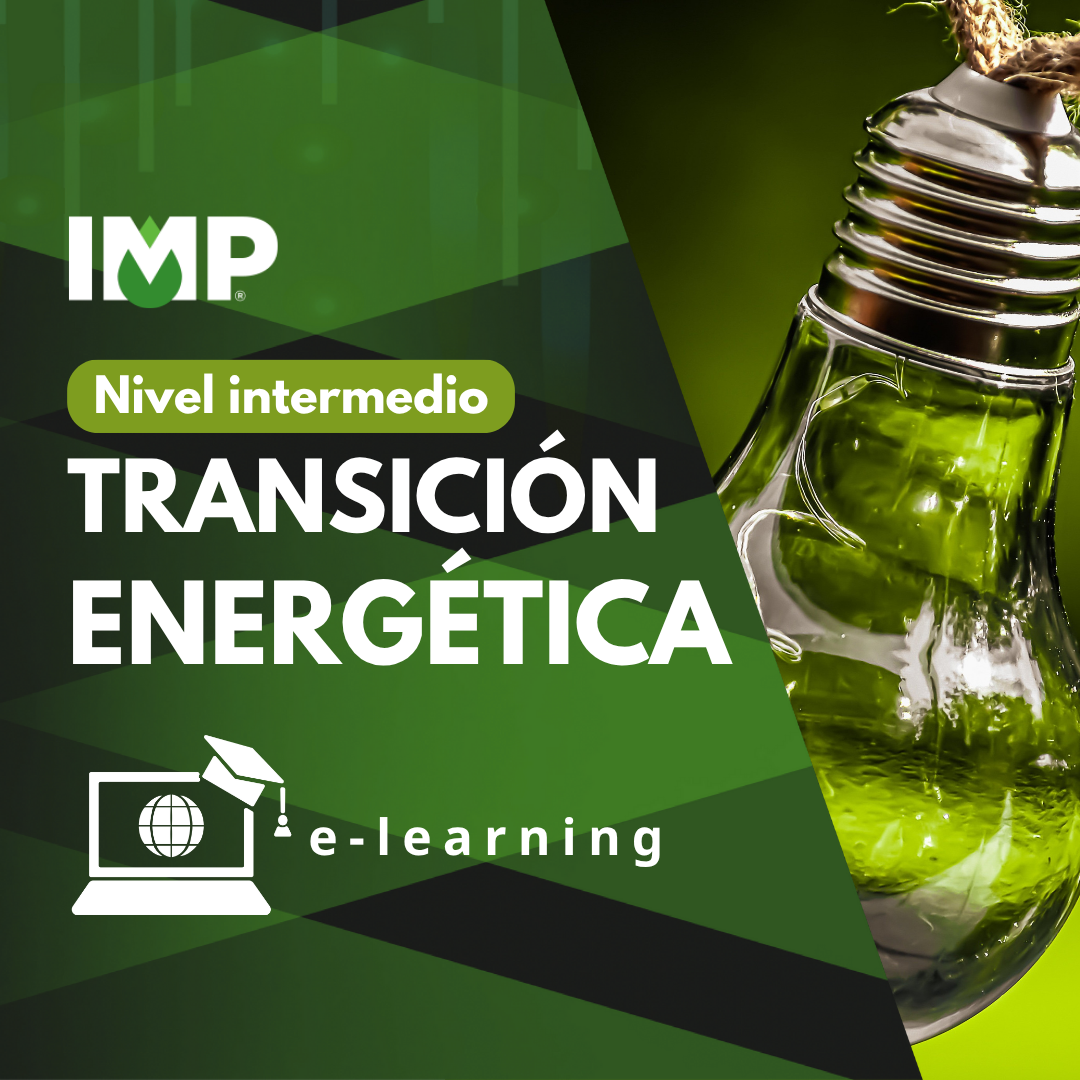Transición Energética - Nivel Intermedio